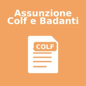 Assunzione Colf e Badanti