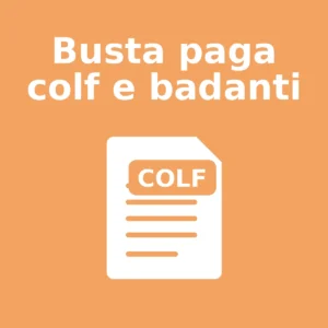 Busta paga colf e badanti