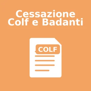 Cessazione Colf e Badanti
