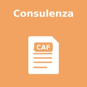 Consulenza