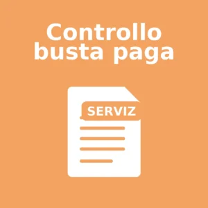 Controllo busta paga