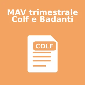 MAV trimestrale Colf e Badanti