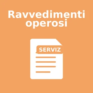 Ravvedimenti operosi