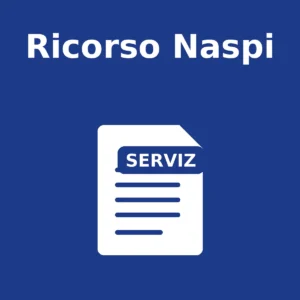 Ricorso Naspi