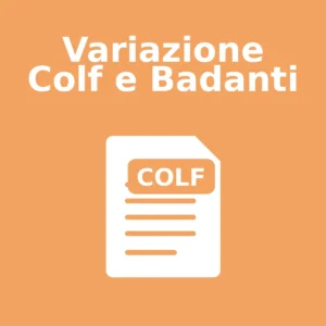 Variazione Colf e Badanti